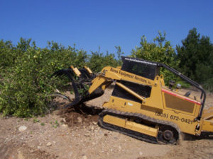 Grapple rake used to push trees over then lift rootball out