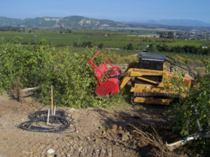 Brush mower used to grind trees