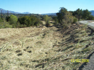 Arundo - Phase 2