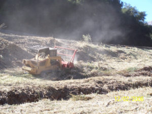 Arundo - Phase 3