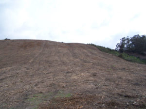 Brush Job 3 - After