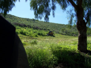 Grass Mowing - Before
