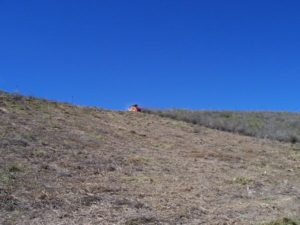 Hillside Brush - After
