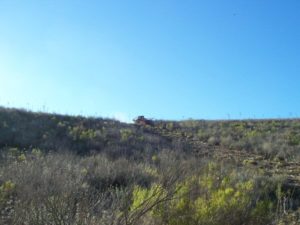 Hillside Brush - Before